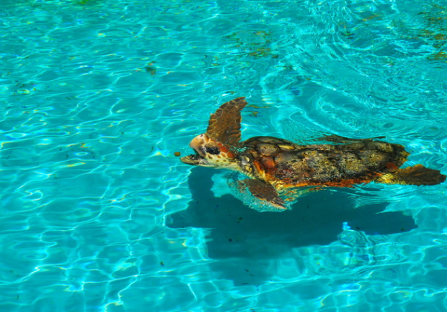 霊山寺イメージ